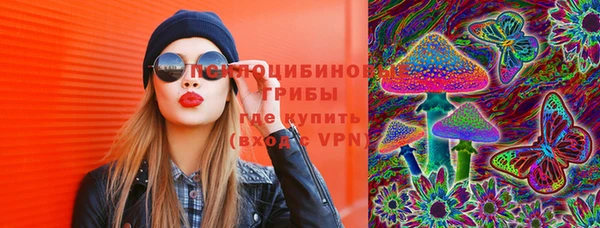 дмт Лабытнанги